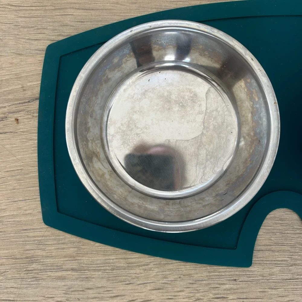 PETCO Every Yay Teal Silicone Double Puppy Stainless Steel Bowls